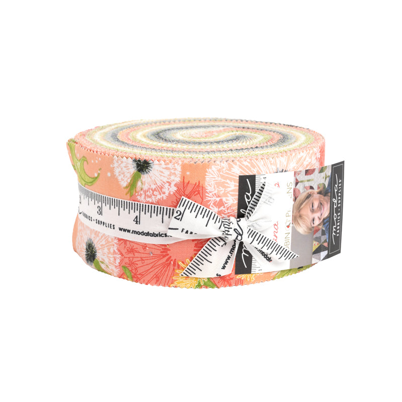 Dandi Duo Jelly Roll 40pcs Robin Pickens For Moda 48750JR