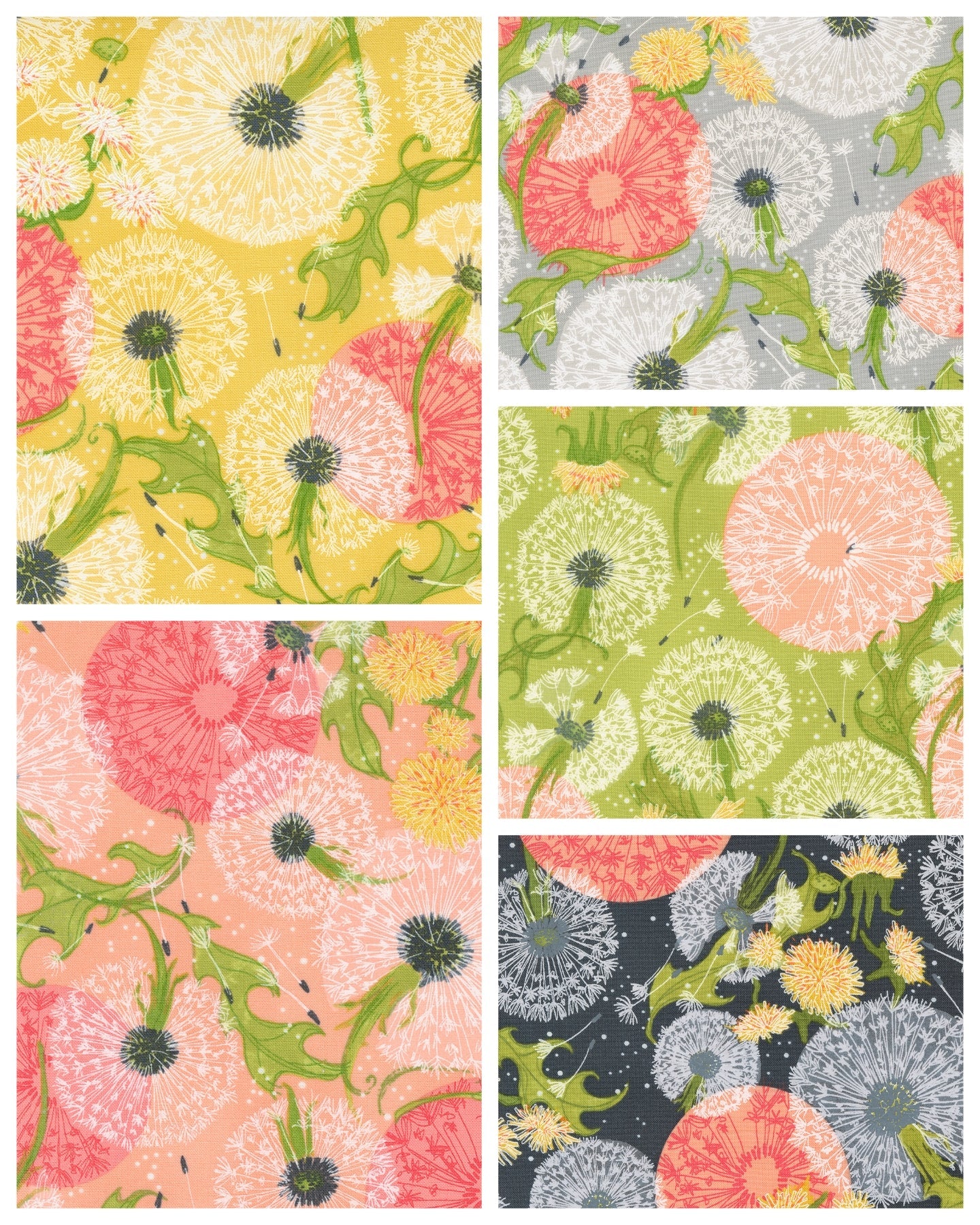 Dandi Duo Jelly Roll 40pcs Robin Pickens For Moda 48750JR