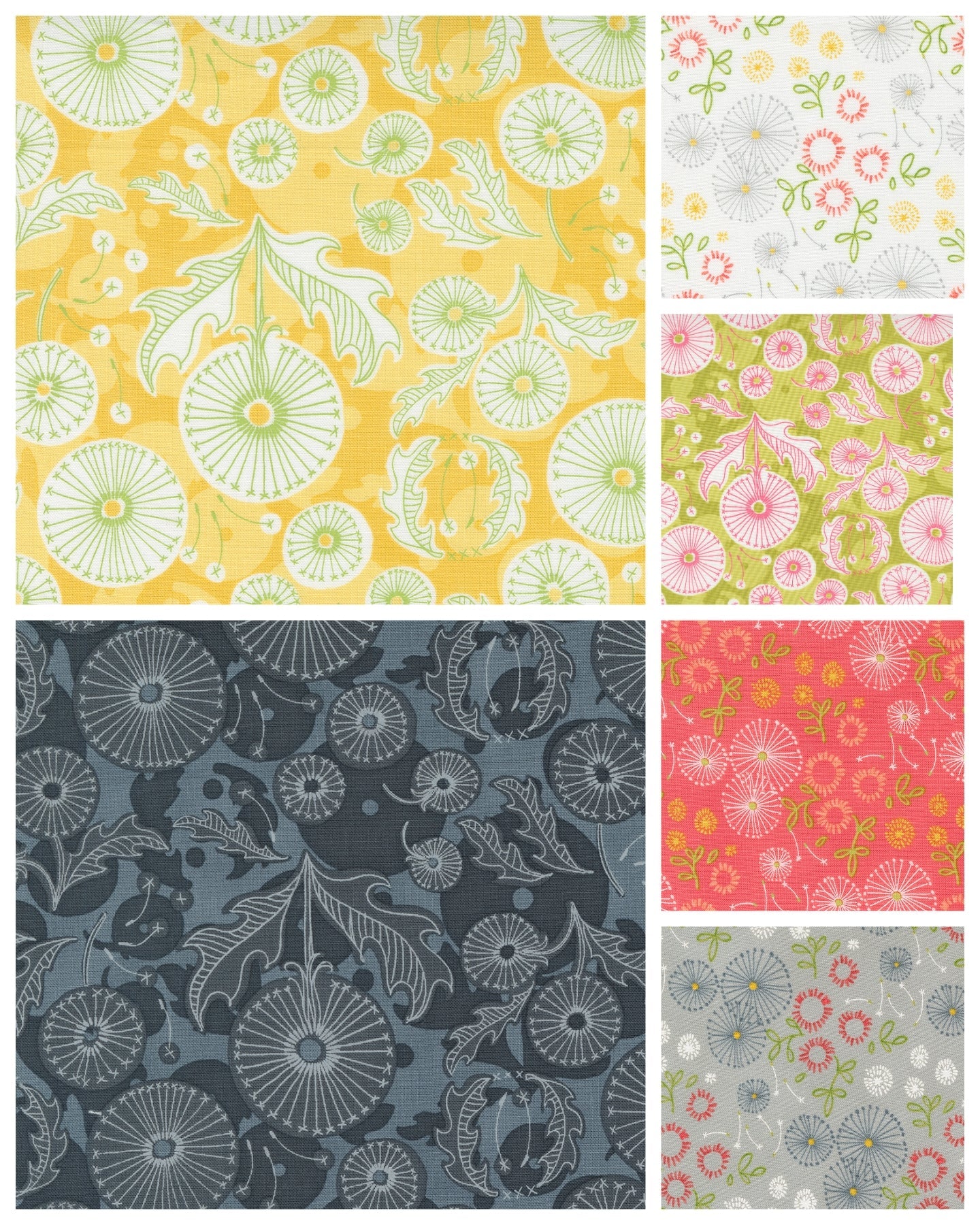 Dandi Duo Jelly Roll 40pcs Robin Pickens For Moda 48750JR