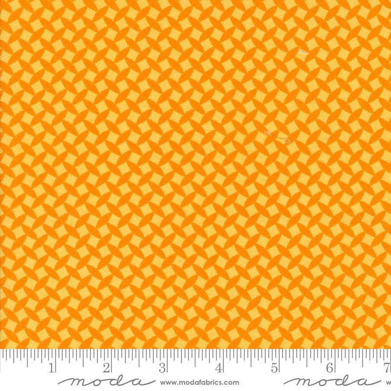 Fiesta Orange Juice 22475 16 By Me and My Sister Designs For Moda