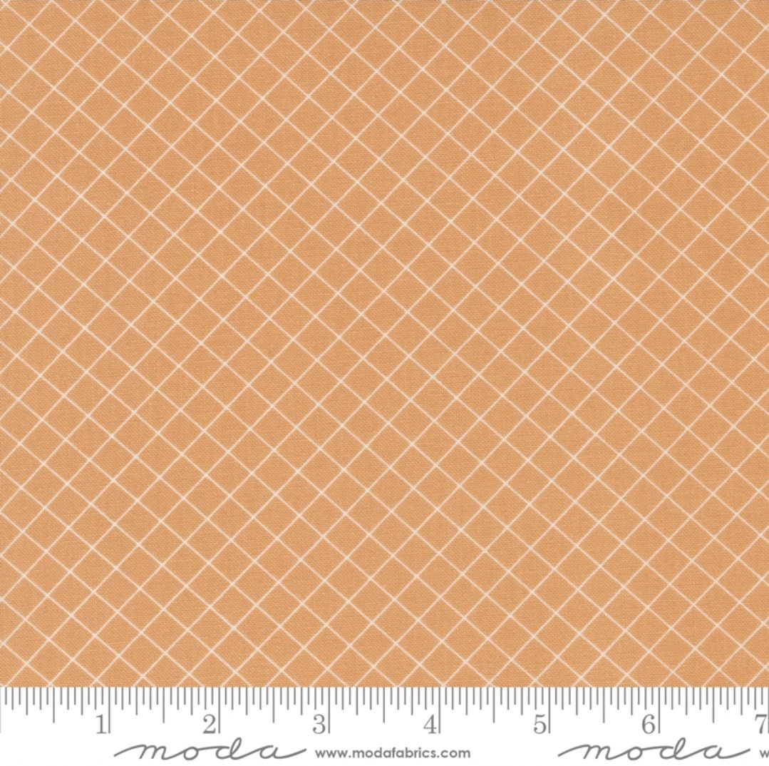 Sunnyside Graph Apricot 55283 18 By Camille Roskelley For Moda