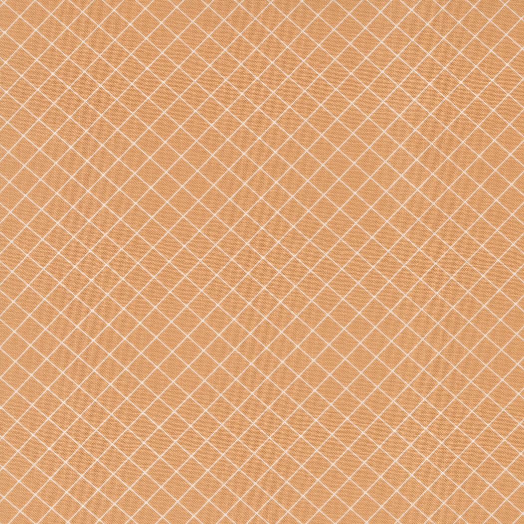 Sunnyside Graph Apricot 55283 18 By Camille Roskelley For Moda