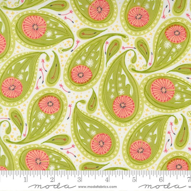 Dandi Duo Grass 48753 11 By Robin Pickens For Moda