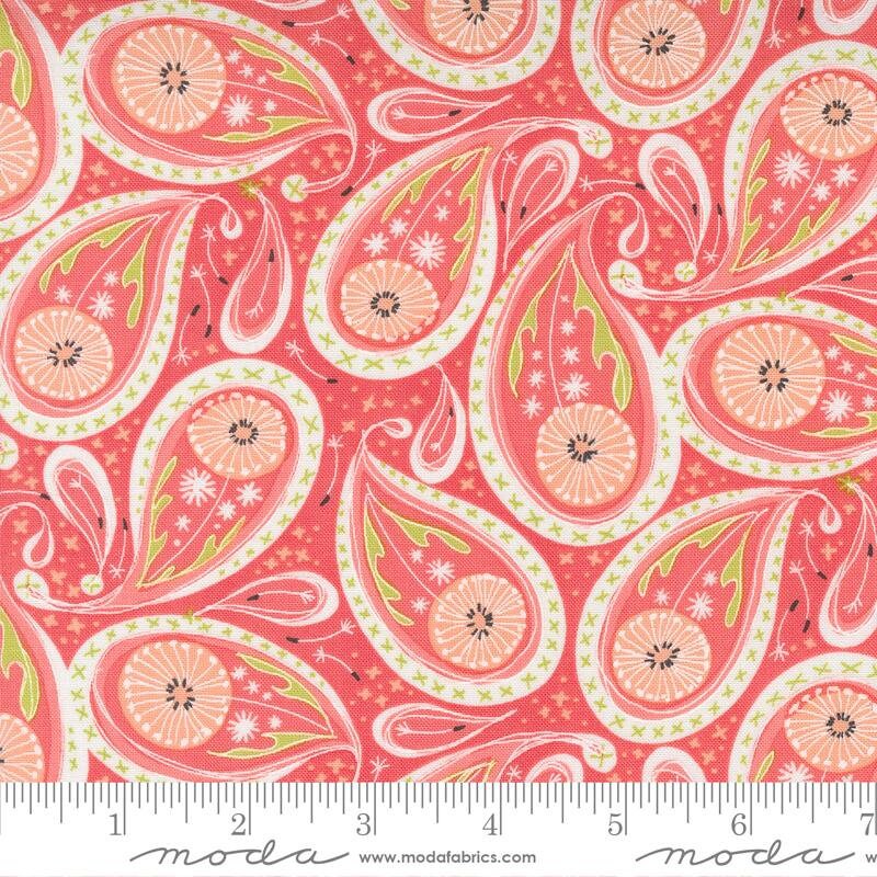Dandi Duo Coral 48753 15 By Robin Pickens For Moda