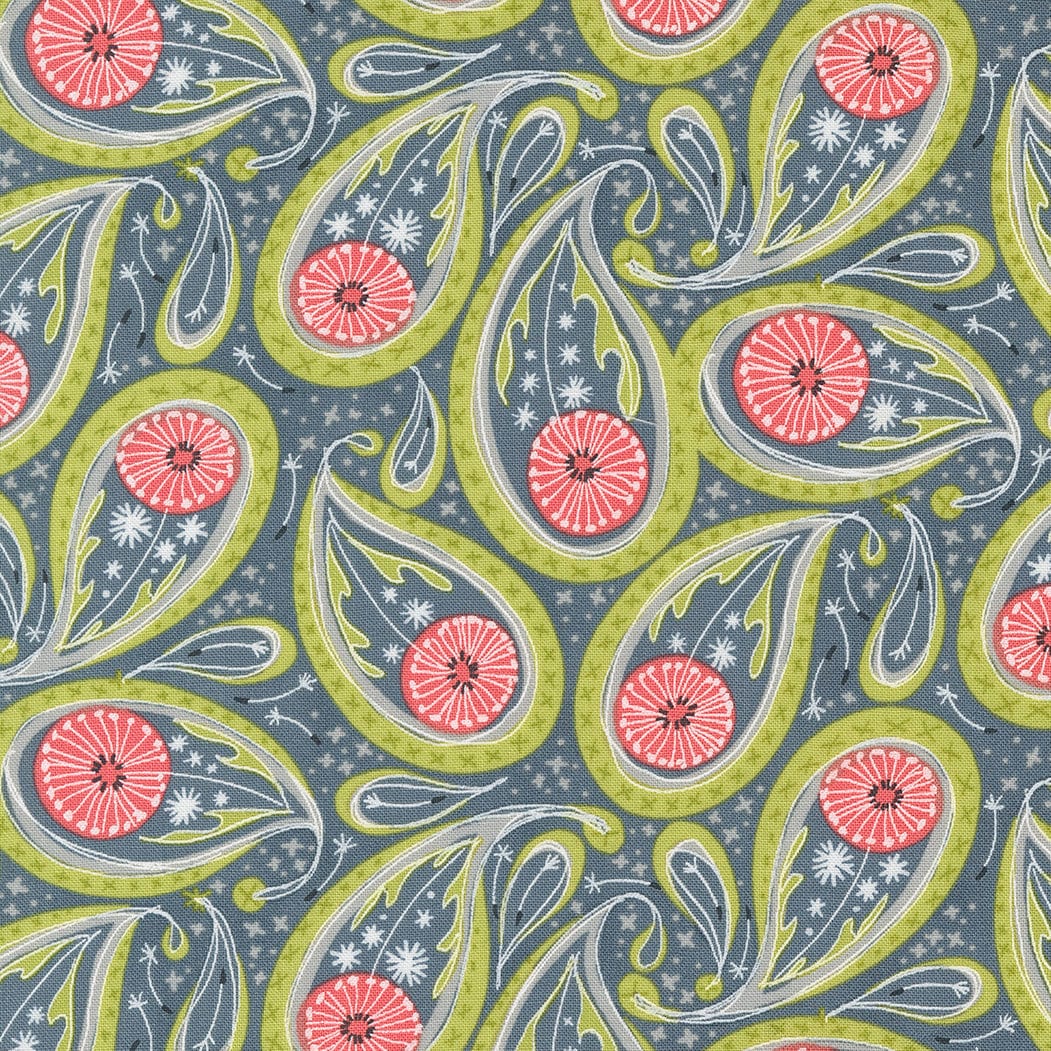 Dandi Duo Graphite 48753 17 By Robin Pickens For Moda