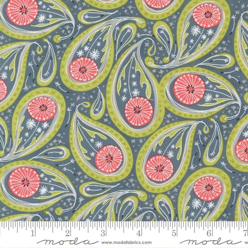 Dandi Duo Graphite 48753 17 By Robin Pickens For Moda