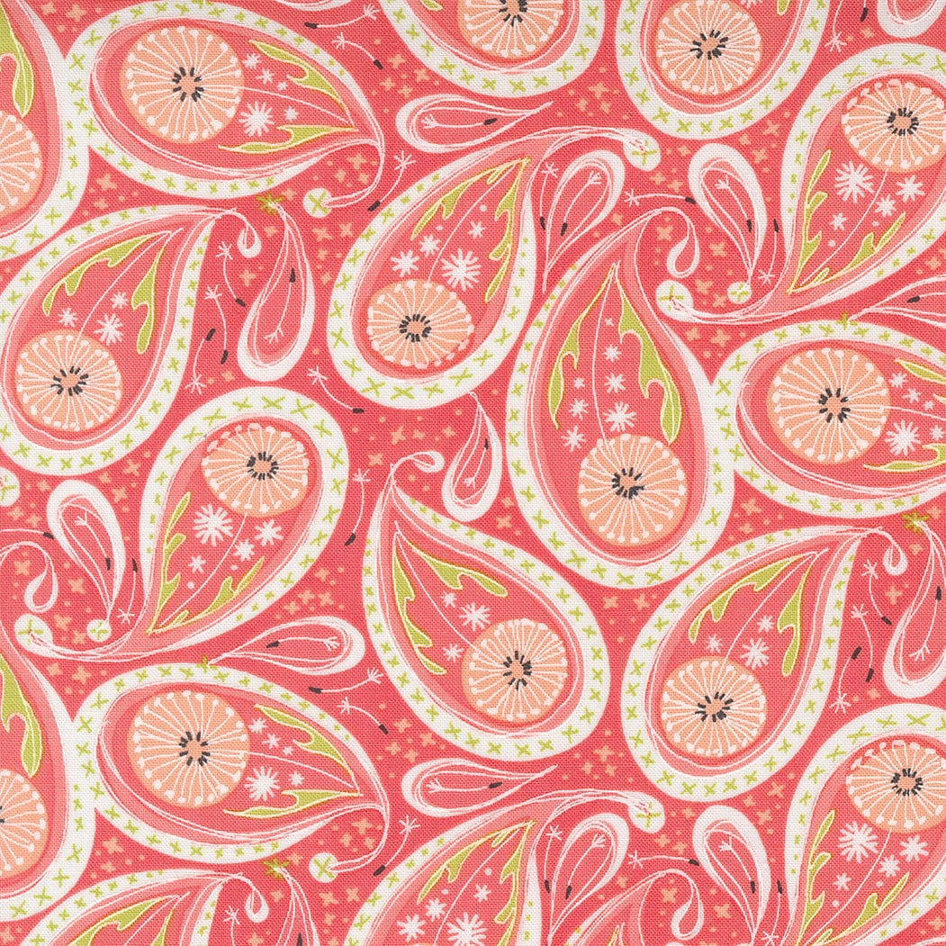Dandi Duo Coral 48753 15 By Robin Pickens For Moda