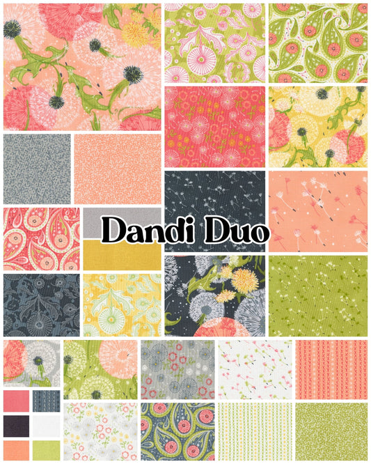 Dandi Duo Jelly Roll 40pcs Robin Pickens For Moda 48750JR