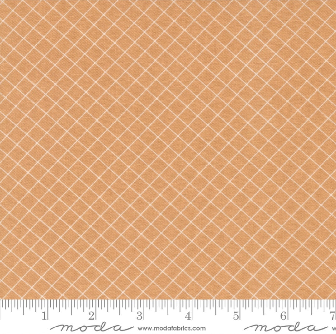 Sunnyside Graph Apricot  55283 18 By Camille Roskelley For Moda