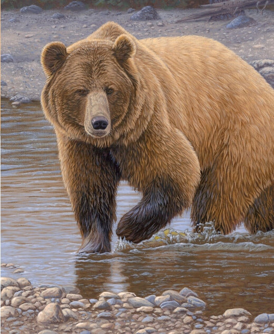 Shore Patrol Grizzly Bear Fabric Panel 35"x44" AL43382C1 By Four Seasons For Davids Textiles