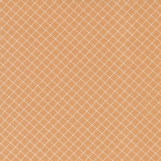 Sunnyside Graph Apricot  55283 18 By Camille Roskelley For Moda