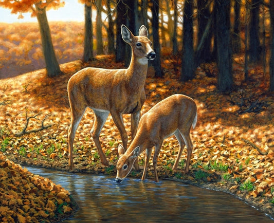 Autumn Innocence Deer Fabric Panel 36"x44" By Four Seasons For David Textiles