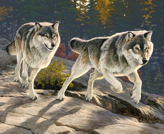 Light Brigade Wolf Fabric Panel 36"x44" By Four Seasons For Davids Textiles