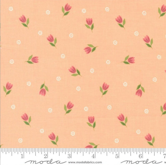 Bountiful Blooms Peach 37662 13 By Sherri & Chelsi For Moda