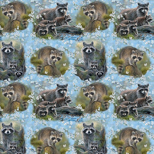 Through The Forest Light Raccoon Portraits 20729 By Abraham Hunter For 3 Wishes